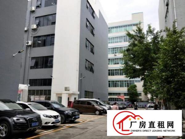  龙华大浪整层600平方出租