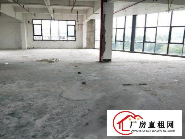  龙华大浪整层600平方出租