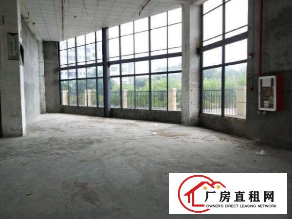  龙华大浪整层600平方出租