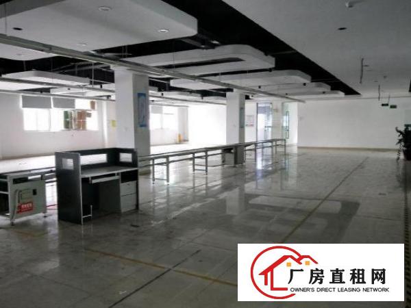  龙华大浪商业中心附近1300平方