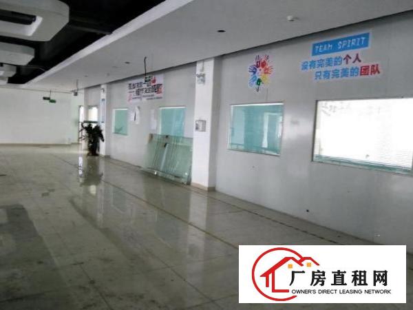  龙华大浪商业中心附近1300平方