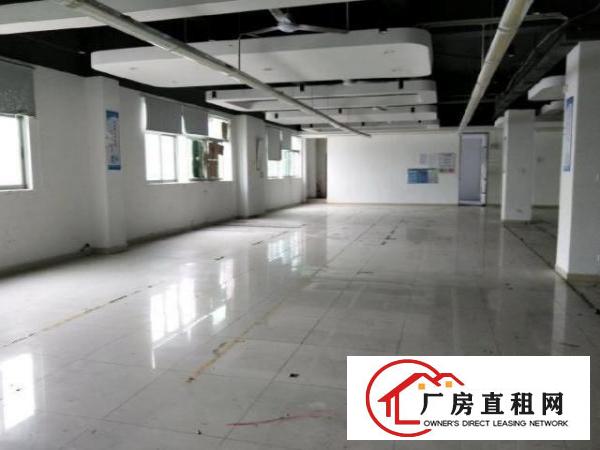  龙华大浪商业中心附近1300平方