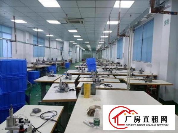  深圳龙华清湖标准厂房200平方红本