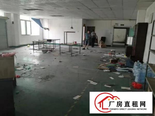  大浪澳华工业区二楼440平方带装修招租
