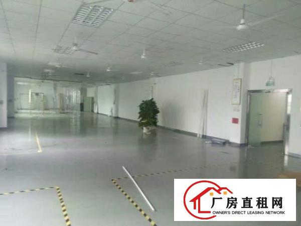  水围工业区新出3楼480平带装修厂房招租
