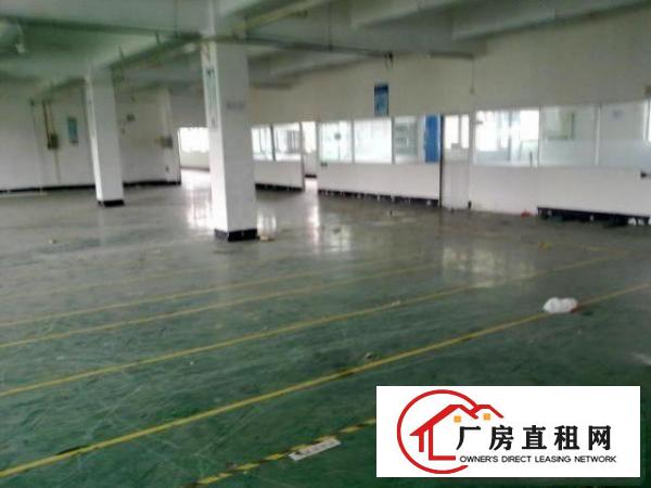  大浪新百丽星辉科技园新出二楼820平原贴片厂家厂房招租