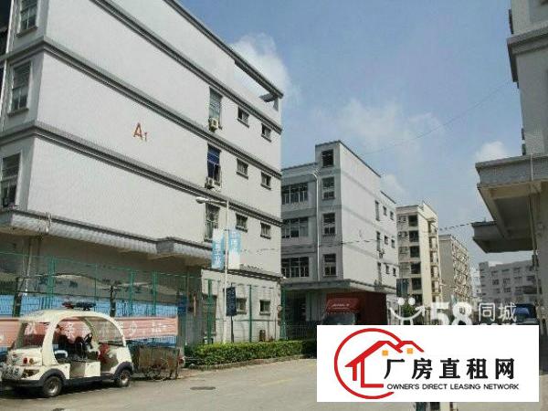 大浪泉新源工业区新出4楼860平带装修厂房招租