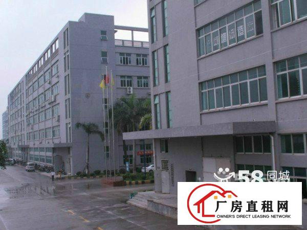  大浪嘉义园新出三楼整层2000平带豪华装修厂房招租