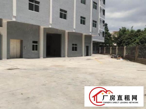  深圳龙华大浪2000平方红本厂房，适合仓库，大小面积可分