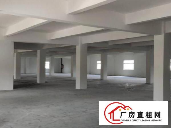  深圳龙华大浪2000平方红本厂房，适合仓库，大小面积可分