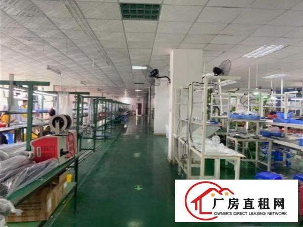  出租龙华区大浪宝龙工业区一千多平米厂房