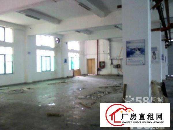  大浪行政中心鹏腾达科技园新出一楼580平方带简单装修招租