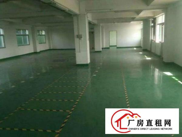  大浪南路河背工业区新出四楼410平带装修厂房招租