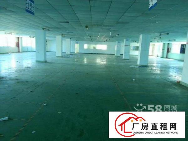  联建工业区新出一楼二楼每层2000平带装修厂房招租