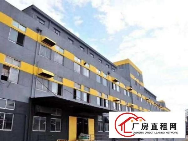  大浪石凹服装基地出2楼238平带简单装修面积实在