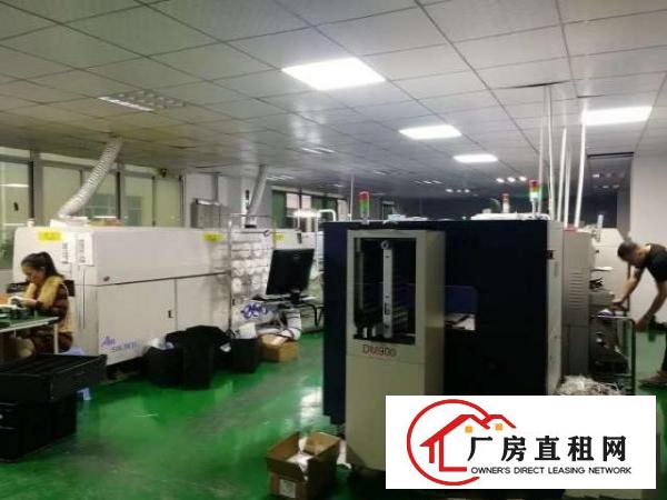  大浪会堂后面新出一楼800平带装修厂房招租