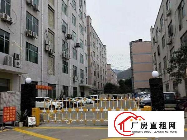  大浪会堂后面新出一楼800平带装修厂房招租