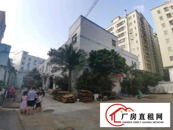  深圳龙华地铁站附近原房东独门独院独栋厂房共2800平平