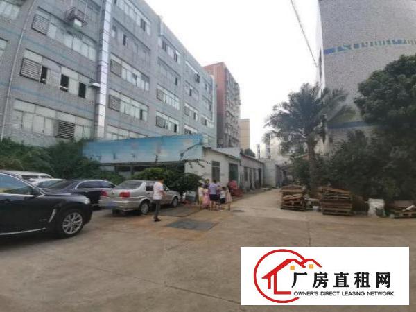  深圳龙华地铁站附近原房东独门独院独栋厂房共2800平平