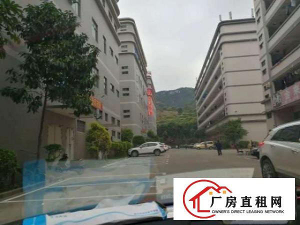  白花洞观光路边新出1-4层整栋8000平带红本