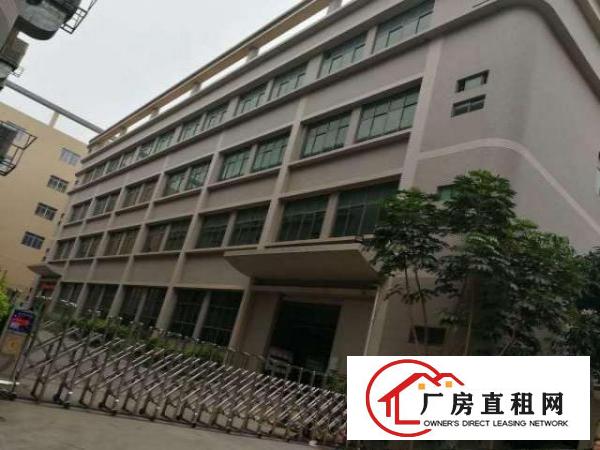  白花洞观光路边新出1-4层整栋8000平带红本