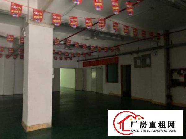  龙华350平仓库特价出租