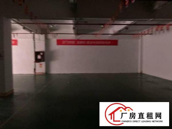  龙华350平仓库特价出租
