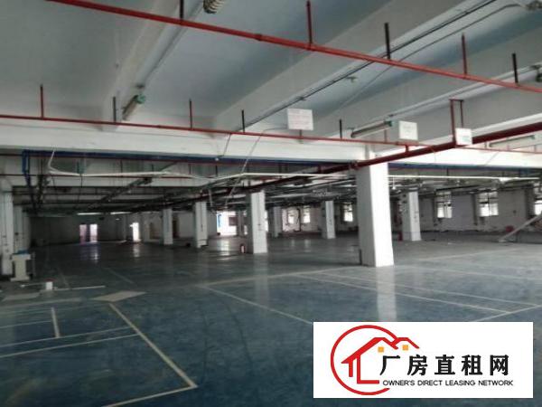  龙华天虹对面大型工业区精装厂房实用面积大好招工