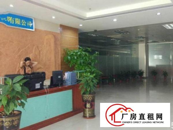  出租龙华新区大浪大型工业区厂房实用率高交通方便