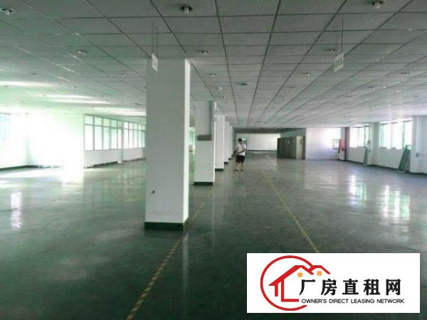  出租龙华新区大浪大型工业区厂房实用率高交通方便