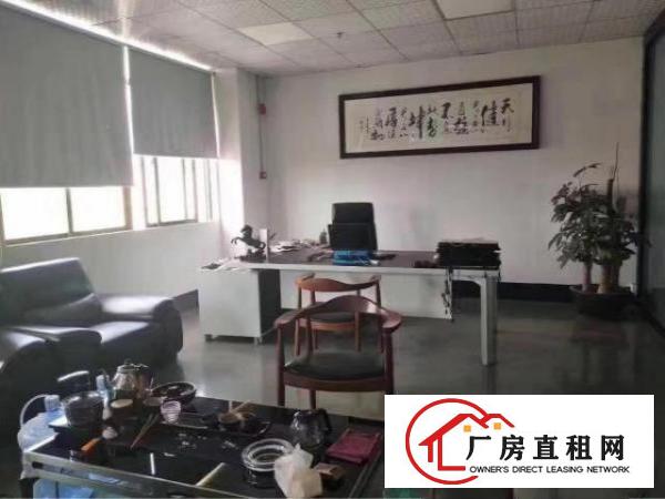  出租龙华新区大浪大型工业区厂房实用率高交通方便