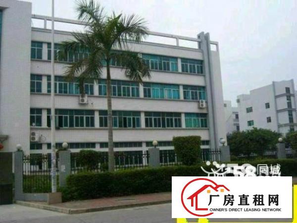  大浪石龙仔工业区新出500平600平800平带装修厂房招租