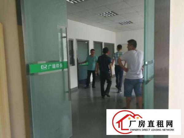  龙华大浪新百丽华宁工业区新出3楼500平米带装修厂房出租