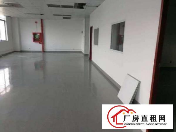  大浪鸿富工业区新出出一楼480平750平带装修招租