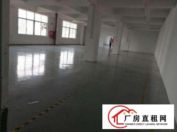  大浪鸿富工业区新出出一楼480平750平带装修招租