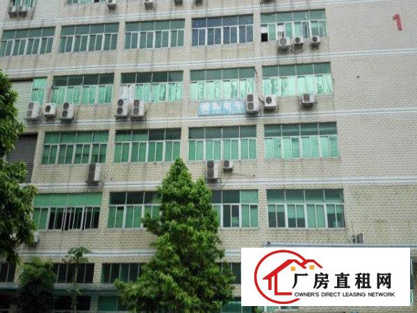  大浪澳华工业区新出一楼630平米厂房仓库招租