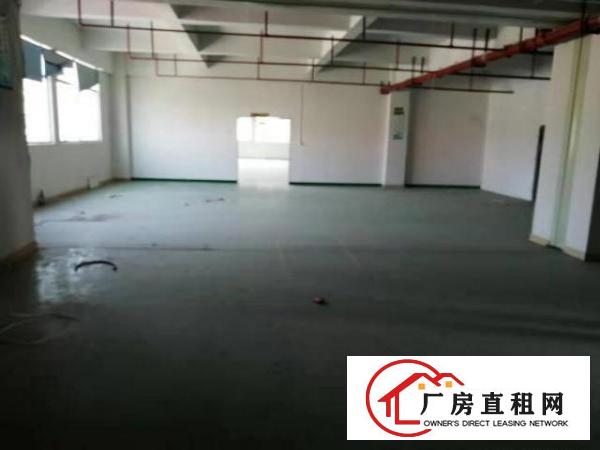  大浪新出龙泉工业区一楼300平6米高适合做五金模具行业