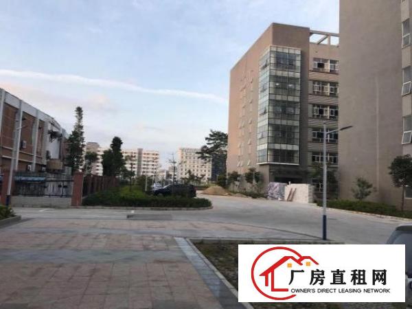  大浪服装基地新建厂房招租价格实惠实用率高可分租有宿舍