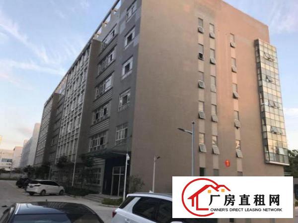  大浪服装基地新建厂房招租价格实惠实用率高可分租有宿舍