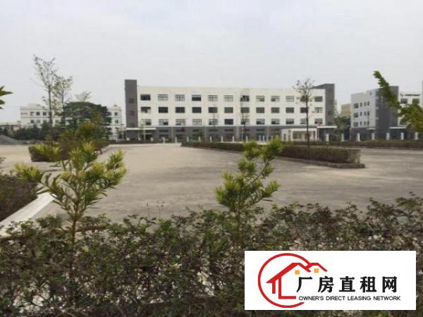  大浪服装基地新建厂房招租价格实惠实用率高可分租有宿舍