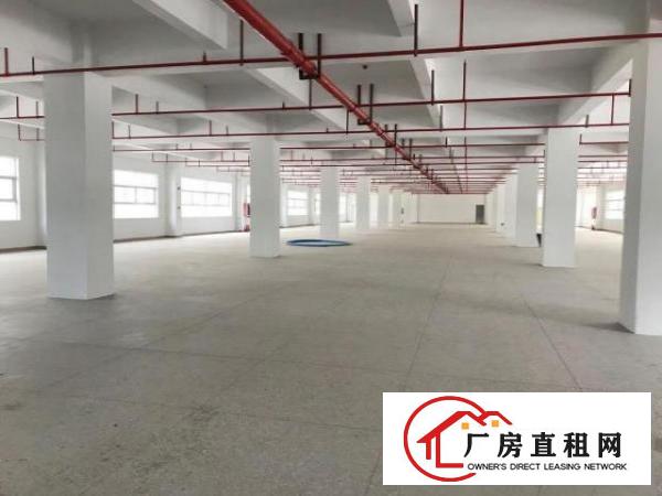  大浪服装基地新建厂房招租价格实惠实用率高可分租有宿舍
