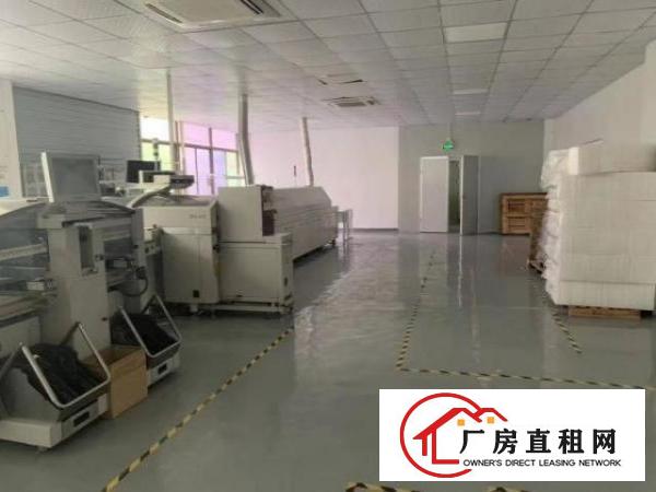  大浪新百丽星辉科技园贴片无尘1000平豪华装修免转让费急租