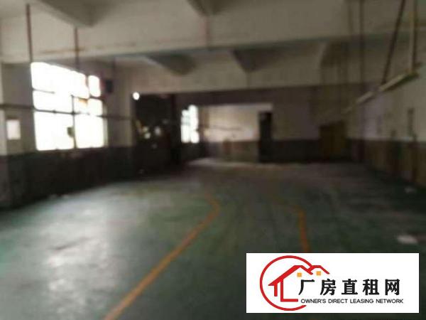  大浪华兴路边富隆特刚出一楼500平带装修适合机械加工