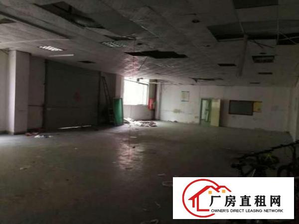  大浪华兴路边富隆特刚出一楼500平带装修适合机械加工