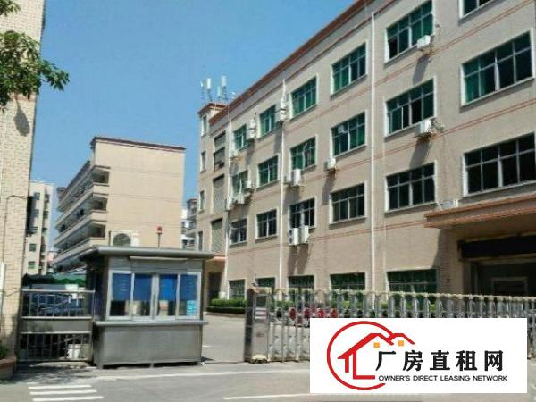  出租龙华大浪石观工业区厂房实用面积大价格实惠可进大车