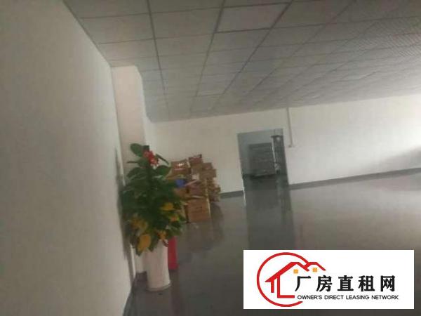  大浪英泰工业区新出一楼500平适合机械加工带装修