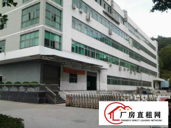  新出大浪华盛路边鸿邦电子4楼360平方带电子厂装修出租