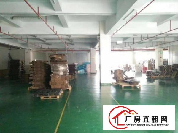  大浪澳华工业区新出850平带装修免转让费出租