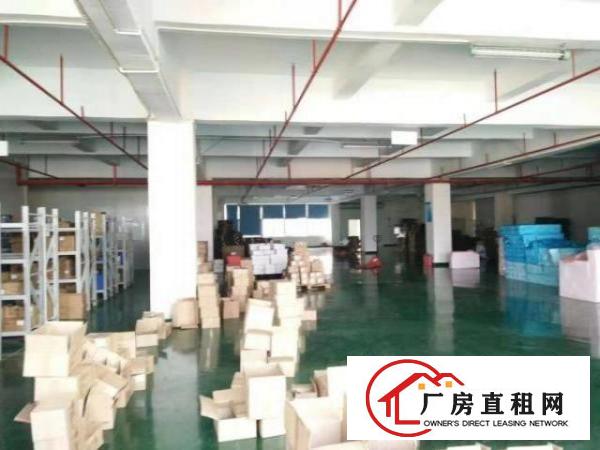  大浪澳华工业区新出850平带装修免转让费出租