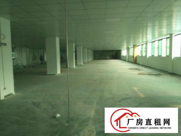 大浪英泰业主厂房2层出租(一二楼3000平方)